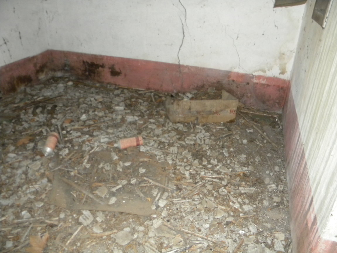 DSCN8008 .JPG